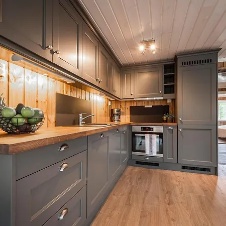 Idyllic New Cabin With Great Views And Fantastic Location In Trysil