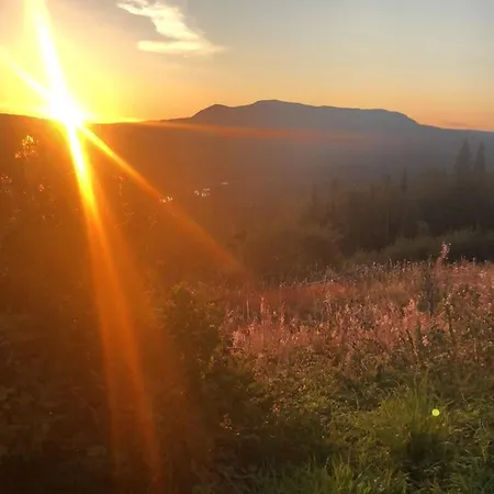 Idyllic New Cabin With Great Views And Fantastic Location In Trysil * Nybergsund