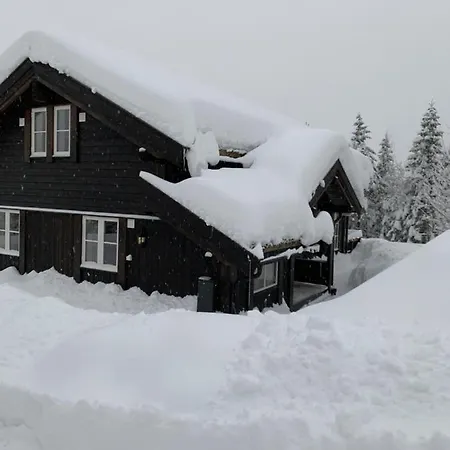 Feriehus Idyllic New Cabin With Great Views And Fantastic Location In Trysil *