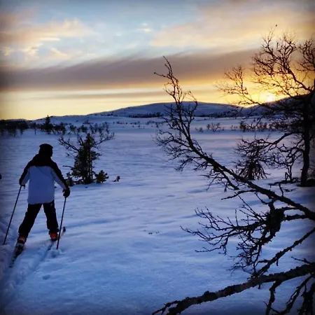 Idyllic New Cabin With Great Views And Fantastic Location In Trysil Feriehus