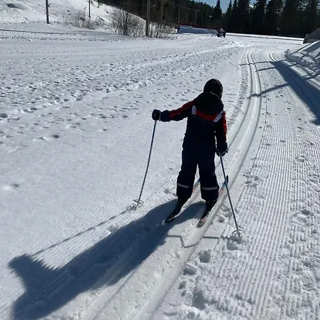 Idyllic New Cabin With Great Views And Fantastic Location In Trysil Feriehus